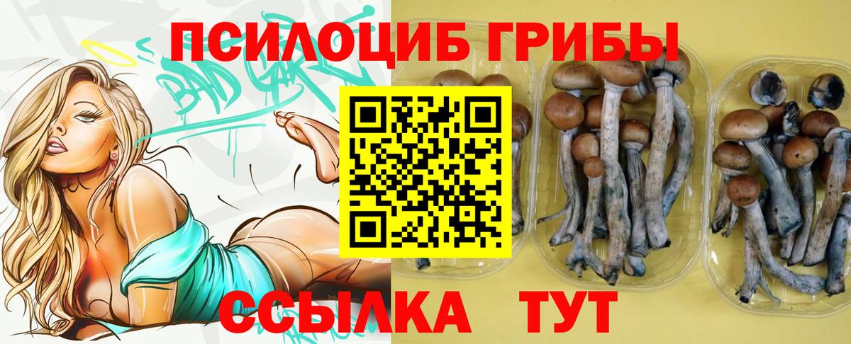 наркота  Галлюциногенные грибы мицелий  Вход с VPN  Ярославль 